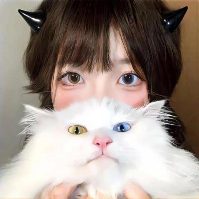 灰鸽子之歌