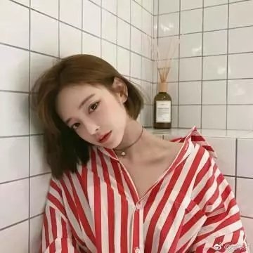 少女骑士物语